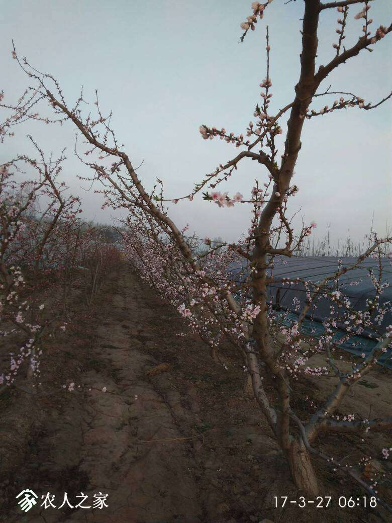 070413r91902i9jk886u8n.jpg