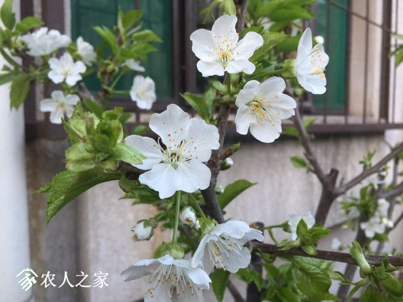 110908gz88hhbewxq79hee.jpg