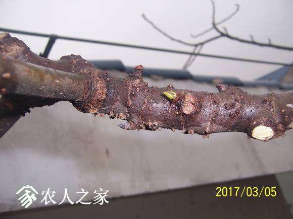 100_2248.JPG