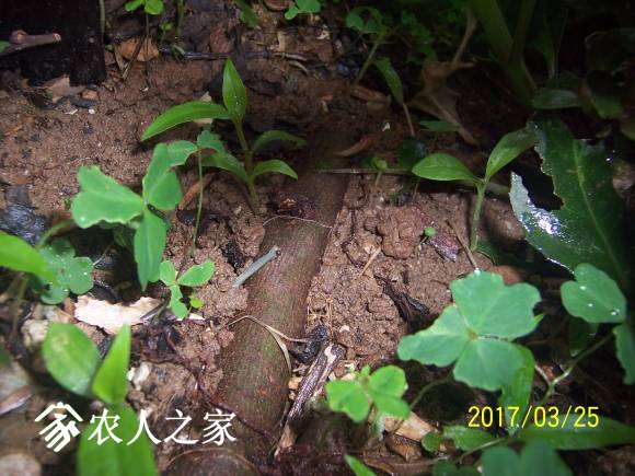 100_2268.JPG