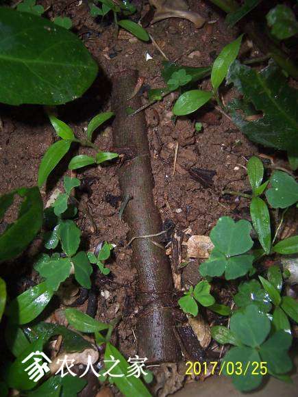 100_2269.JPG