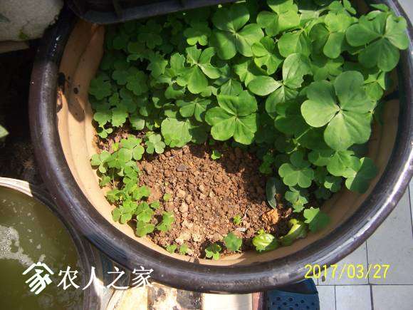 100_2271.JPG