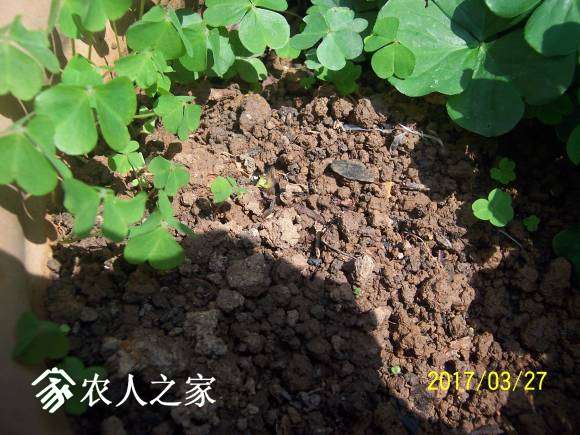 100_2272.JPG