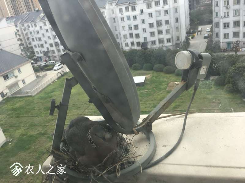 203316ccuzkkcs7eelkr8s.jpg