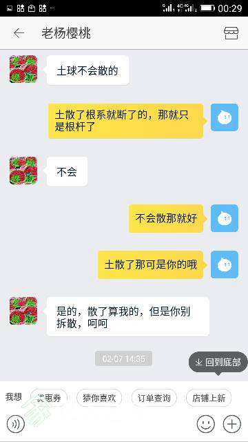 005204uh58ye9pvpi88yb7.png