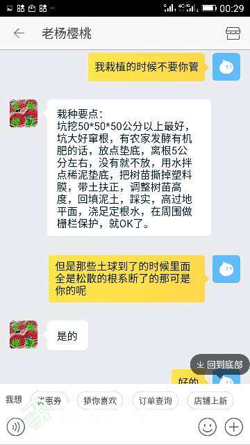 005204zi7mdol89kkl3kn3.png