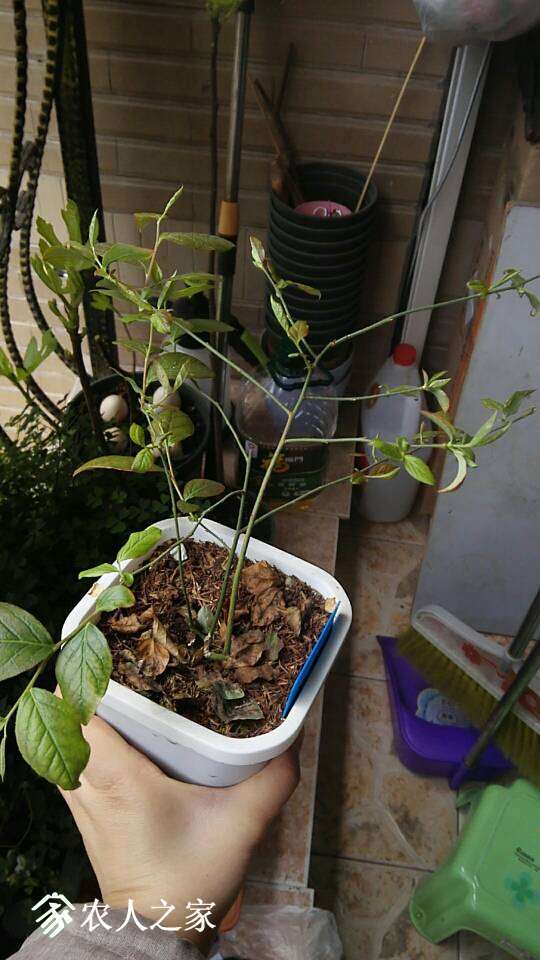 013527kq3uab6aq4vf6a65.jpg