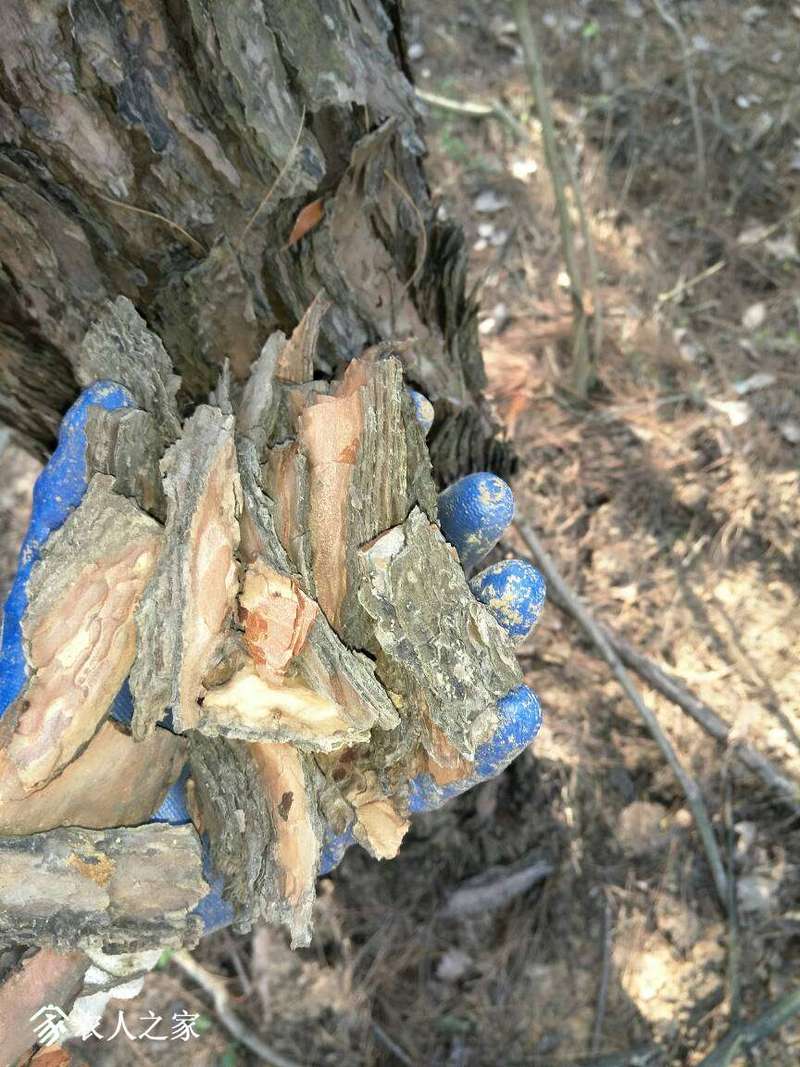 193731q3rcour6g1o750ux.jpg