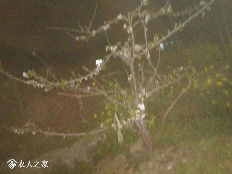 210137ftjfsi8ft581x33x.jpg