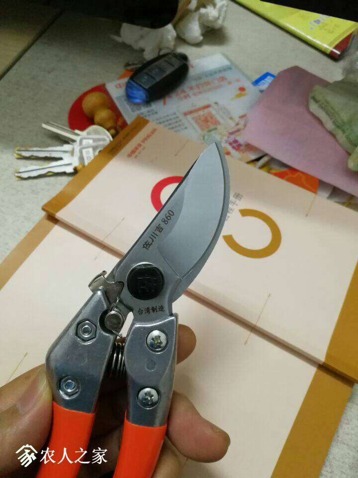 215709s55lg48g5rqqk99v.jpg