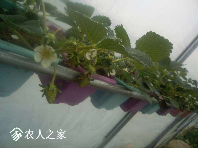 085252mm9ireiee9m3mwed.jpg