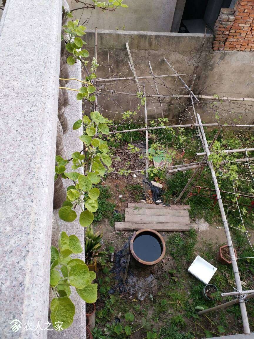 173557emhwjpvpwktywzj2.jpg