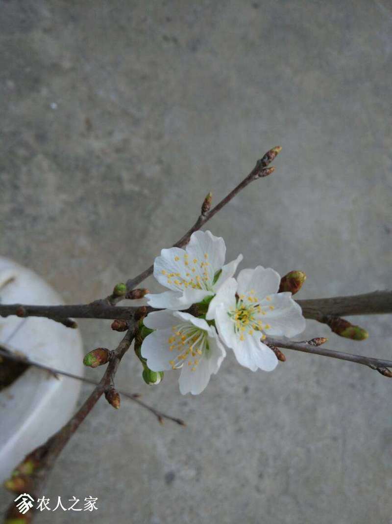 150459bp77o8khvjxk7flh.jpg
