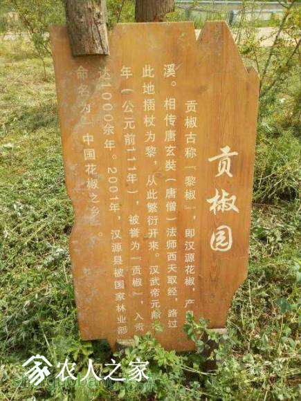 143310hippfu0iifrpr70n.jpg