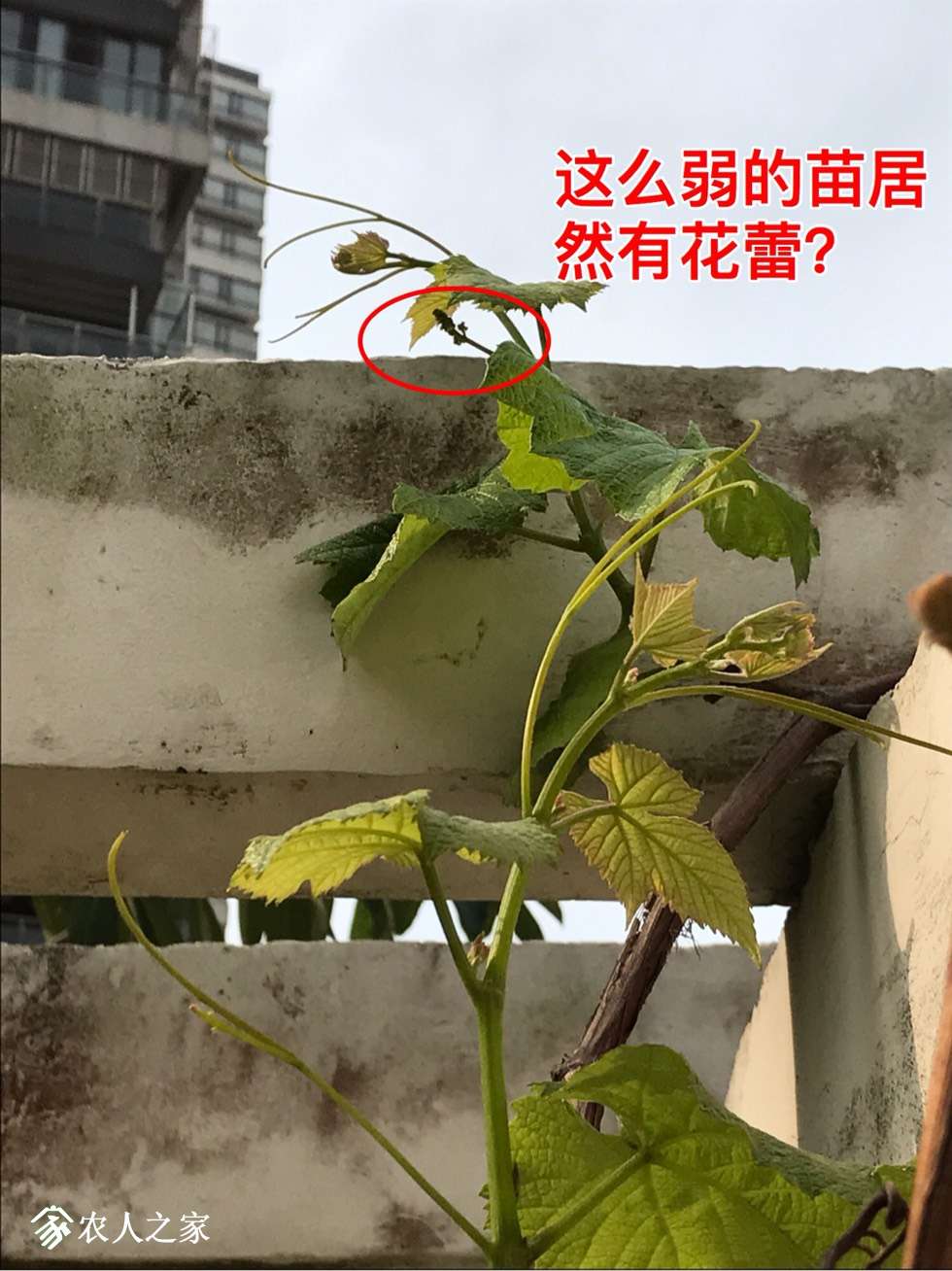 164252koqk2u9iqqobq5di.jpg