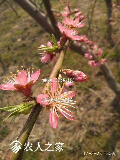 214041j10eh18h531108aq.jpg