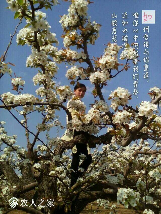 220854qvr9fw6593wzsois.jpeg