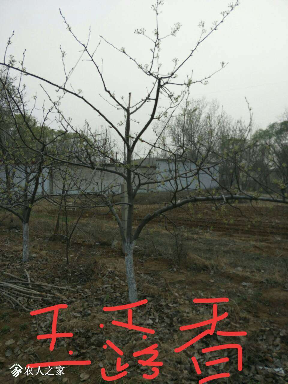 081842fbbuajgejez3uegi.jpg