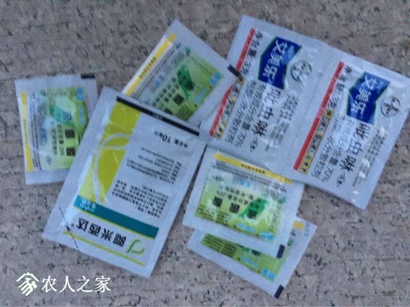 121127r2gn2ini5525m5zs.jpg