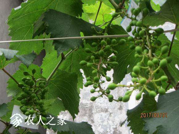 ޷塣 001.jpg