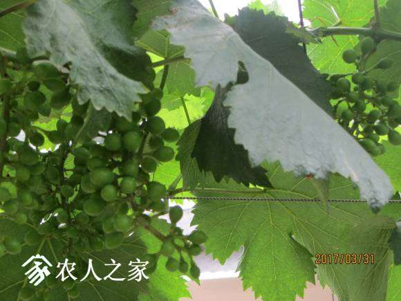 ޷塣 010.jpg