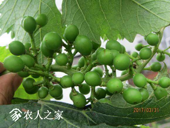 ޷塣 017.jpg