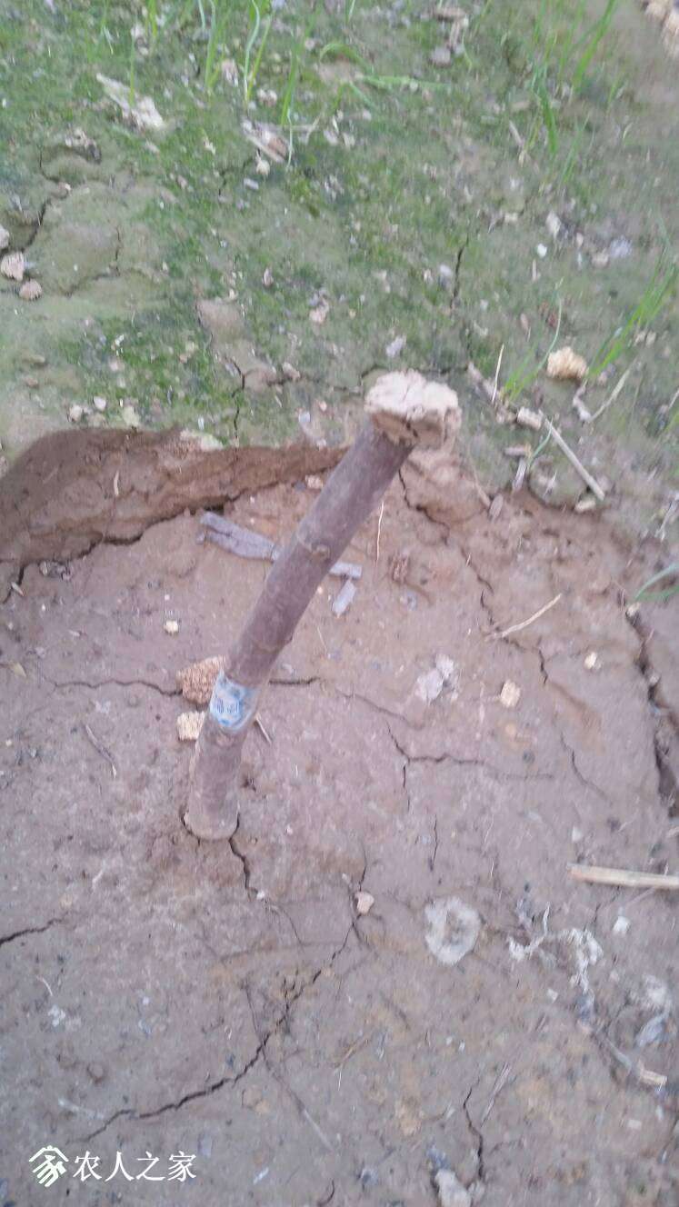 210829nfeusbebdbufuexi.jpg