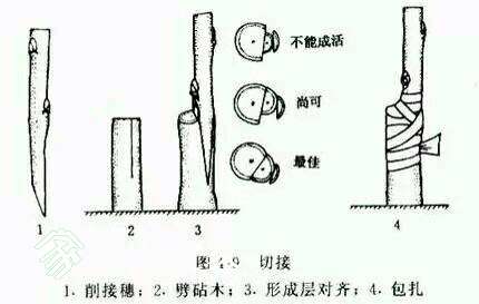 222713nk3mhlrmd3nzn9my.jpg