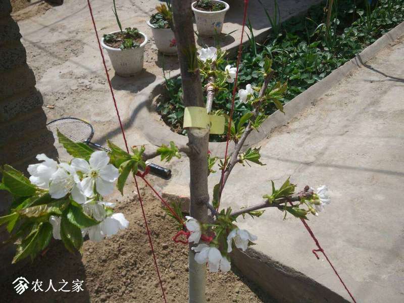 125534quj7113ijwj1x16r.jpg