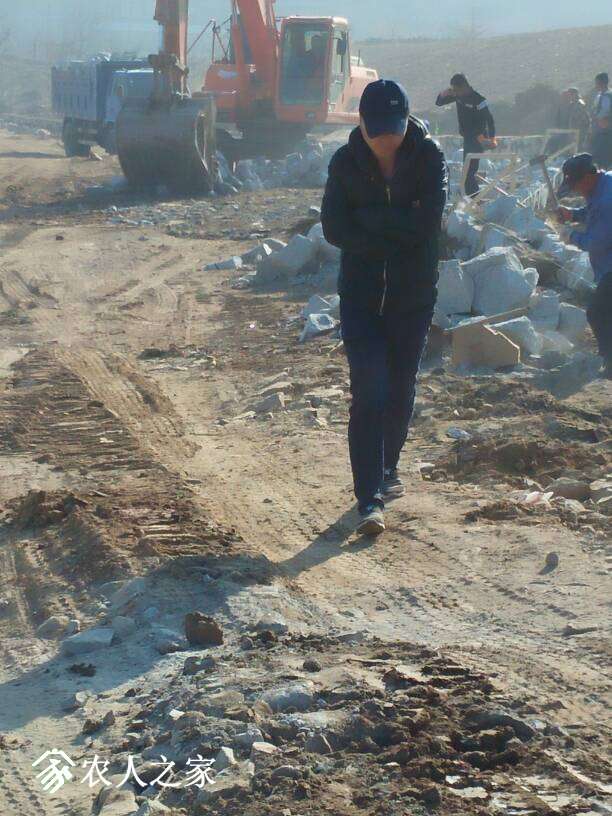 180036op9lgmzq5ppzu348.jpg