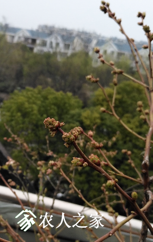 IMG_20170316_085703.png