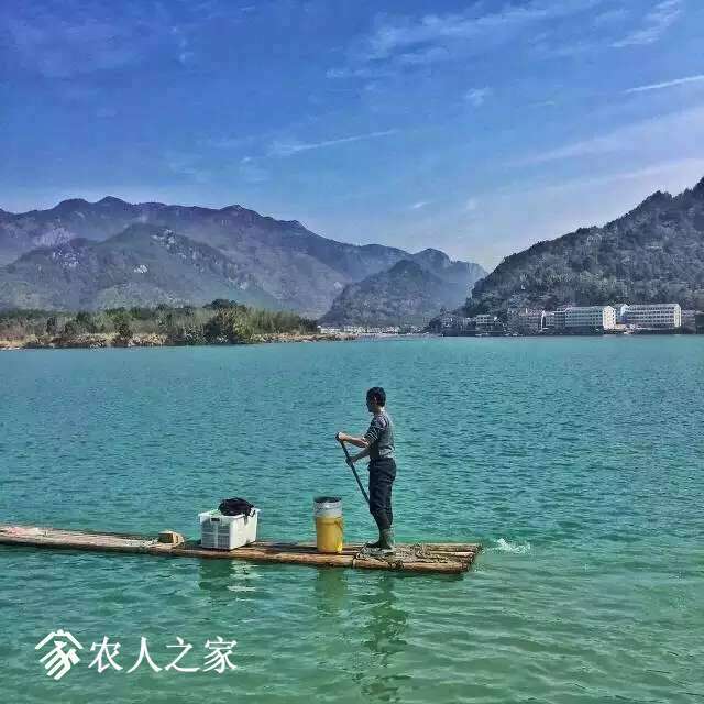 154025d411z9ggyhkhlntn.jpg