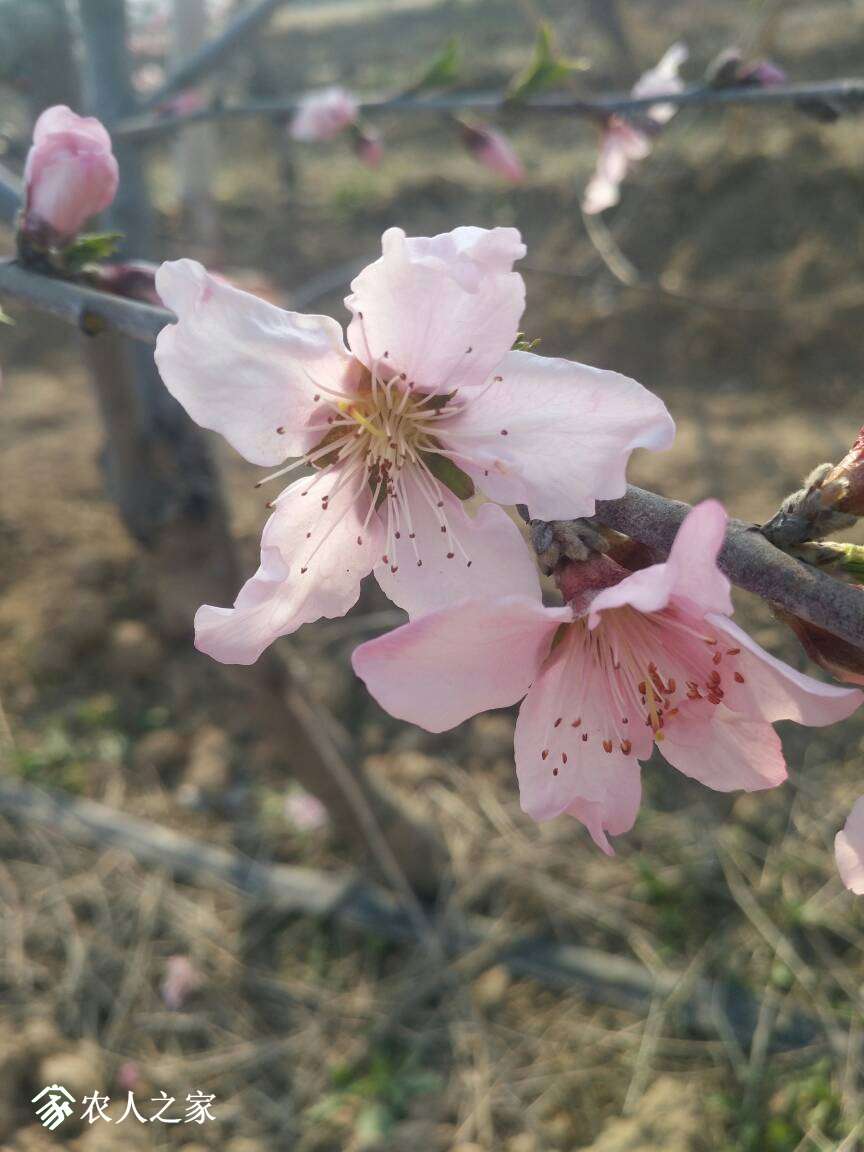 211812syejy42jy22qjyuu.jpg