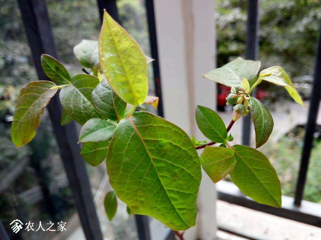 220128qp049ixo4azp4aji.jpg