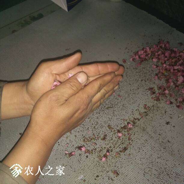 232655mqyewsqiedfcfuim.jpg