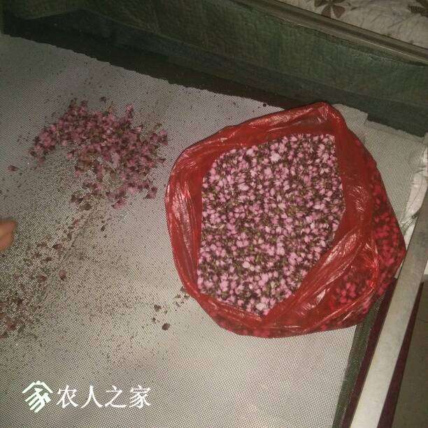 232655oult05ulllzqfrz8.jpg