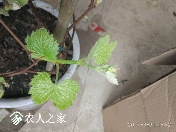 034227eono86t9n7lzg6a6.jpg