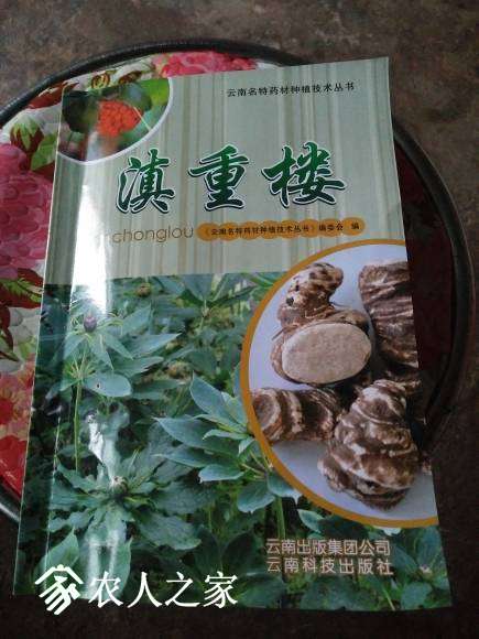 IMG20170403074916.jpg