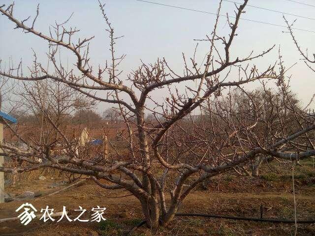 085121kbsbcfdf6zordcsj.jpg