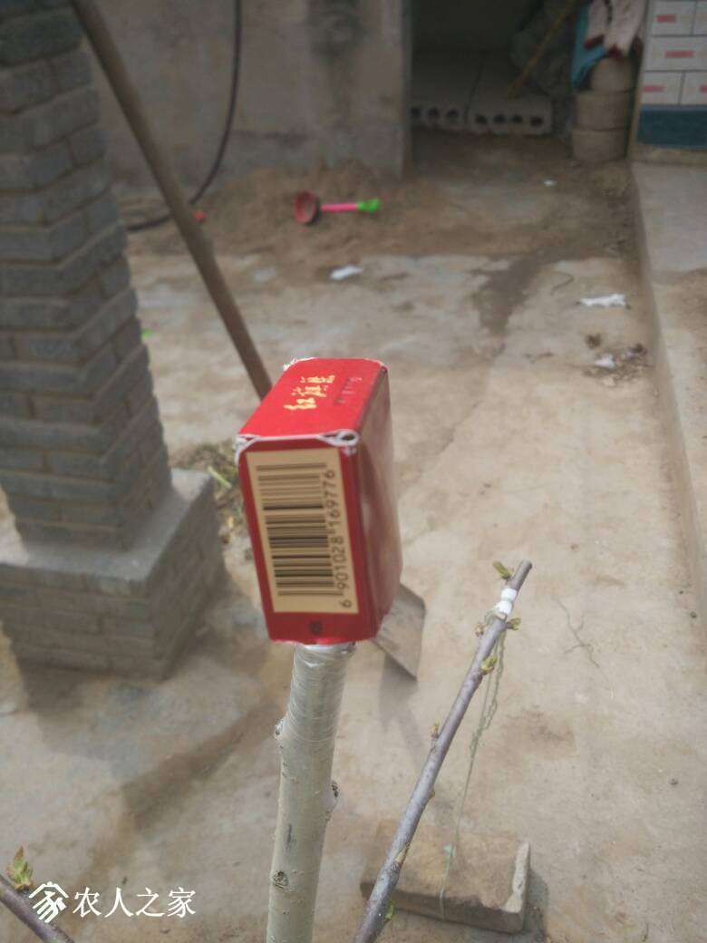 151200lbgu55ubyc0a15xu.jpg
