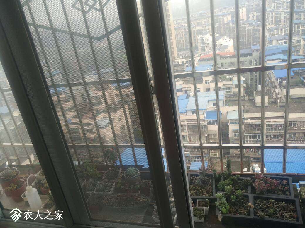092457k2mwqibejmzeil2j.jpg