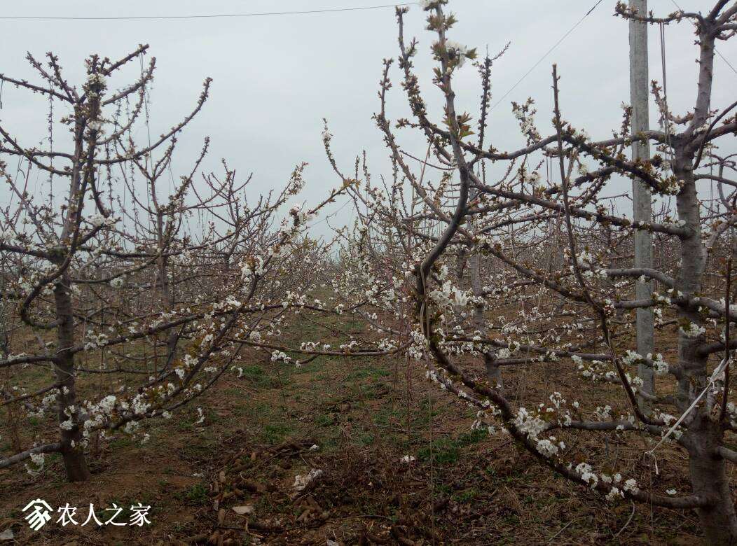 093821kiqxiaz5dmjzdjdn.jpg