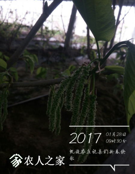 QQͼ20170404184339.png