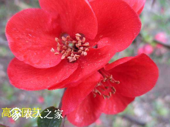 IMG_1953.JPG
