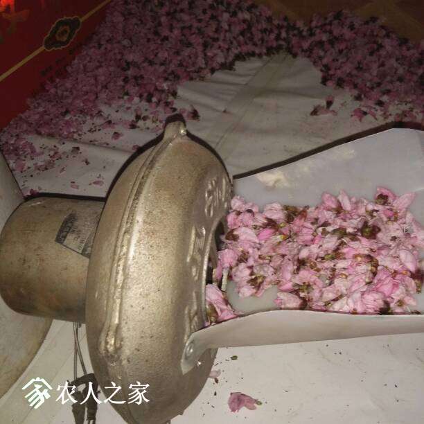 221354ksoi97xkircl99zb.jpg