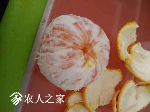 IMG_20170405_105132.jpg