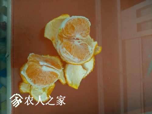 IMG_20170405_105220.jpg