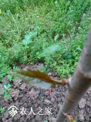 20170405_115807.jpg
