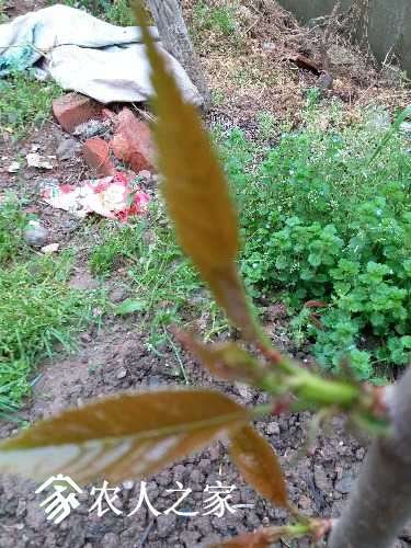 20170405_115819.jpg