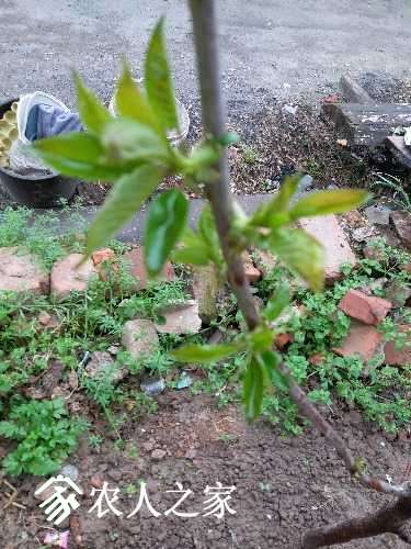 20170405_115902.jpg
